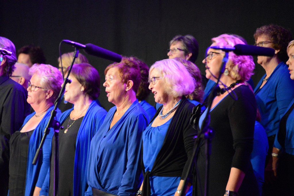 ../Images/Jubileumconcert 100 jaar Harpe Davids 239.jpg